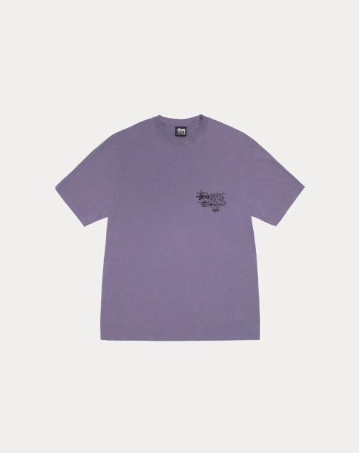 【ステューシー】RESPECT THE POOL TEE PIGMENT DYED