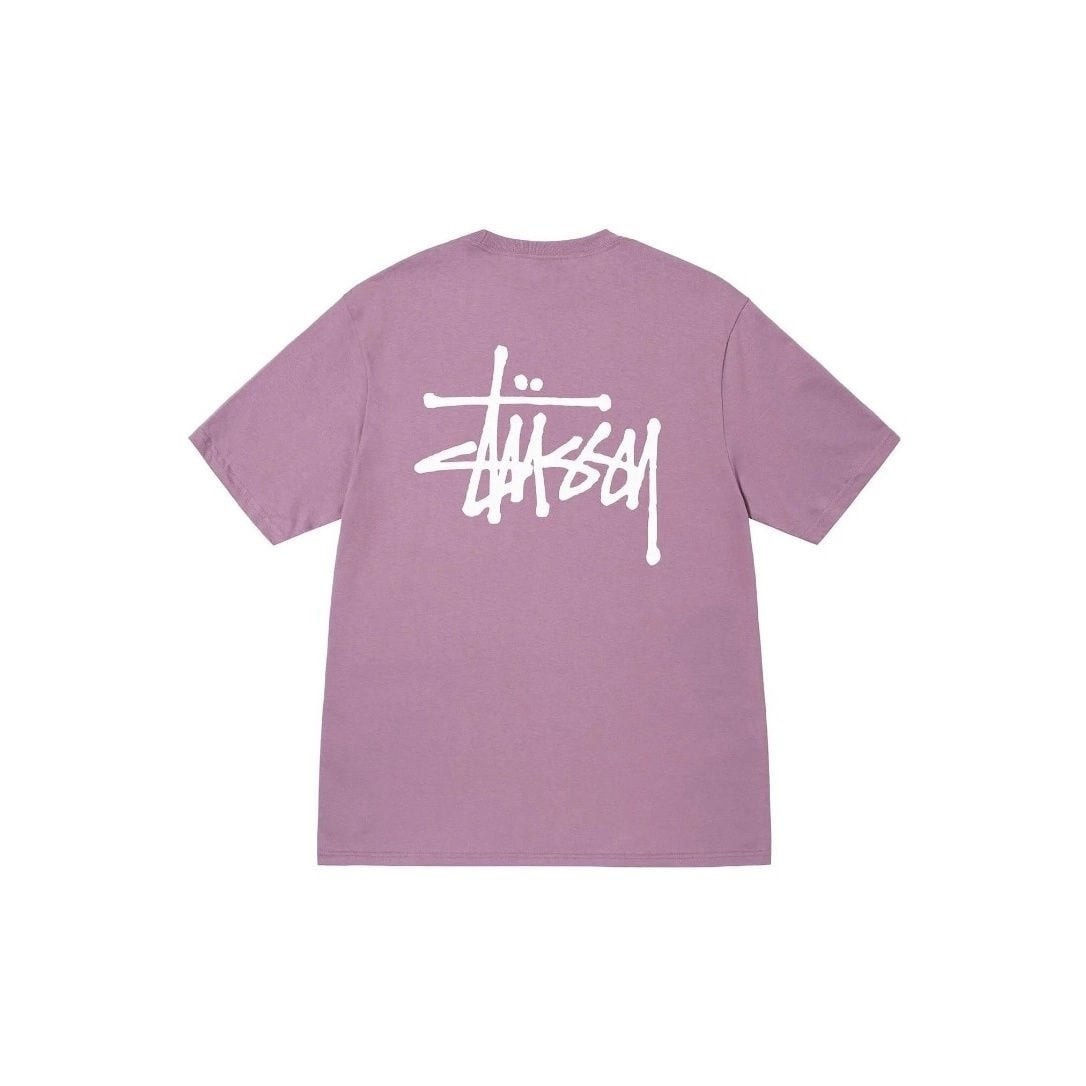 ステューシー Tシャツ 半袖 Basic S/S Tee ステューシー Tシャツ 半袖 メンズ レディース tee ティーシャツ T-SHIRTS カットソー トップス ベーシック メンズ