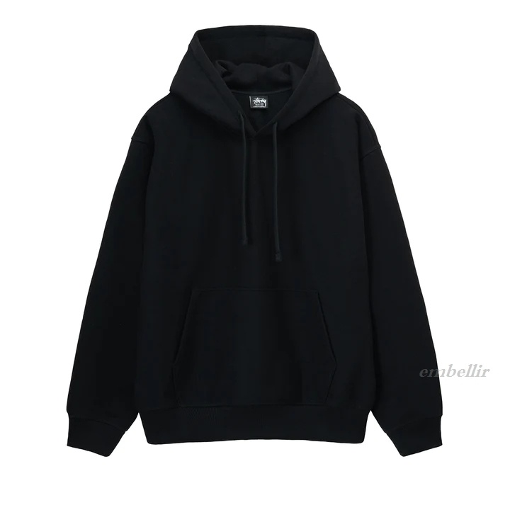 ステューシー BACK APPLIQUE HOODIE