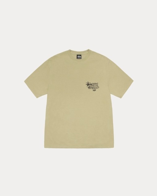 【ステューシー】RESPECT THE POOL TEE PIGMENT DYED